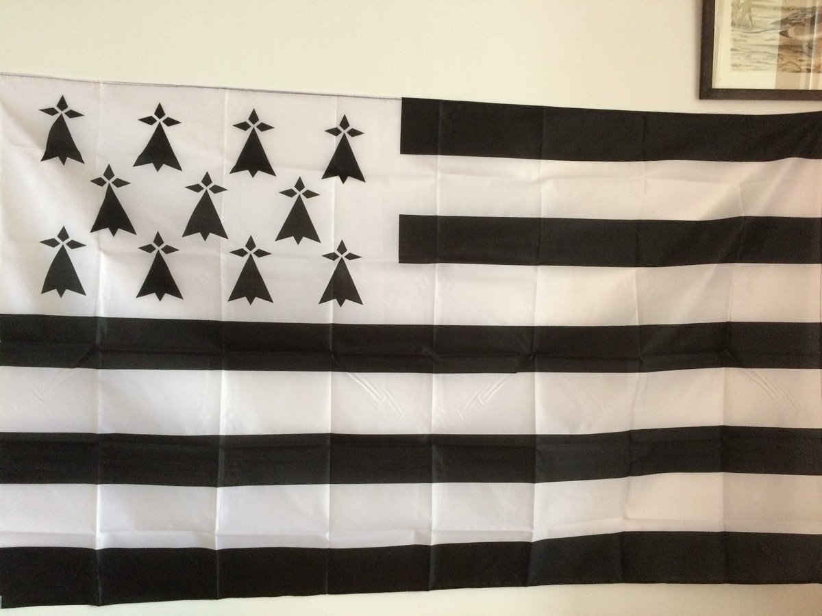 peppermintgaby's tweet photo. 11 mouchetures, 9 bandes, coïncidence? Pensez-en ce que vous voulez
#complotbreton #9/11 @ComplotsFaciles https://t.co/uaKh1DN5YZ
