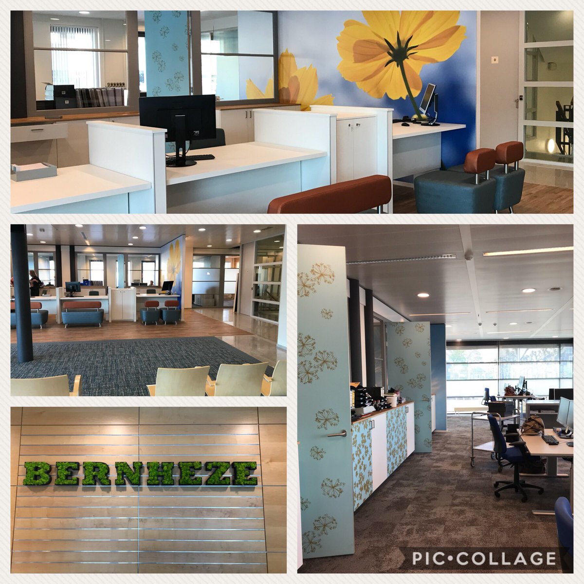 mariekemoorman's tweet photo. Vanaf vandaag helpen we onze inwoners in nieuwe spreekkamers en aan verbeterde balies  @bernheze_gem https://t.co/EVYhPT3fkd