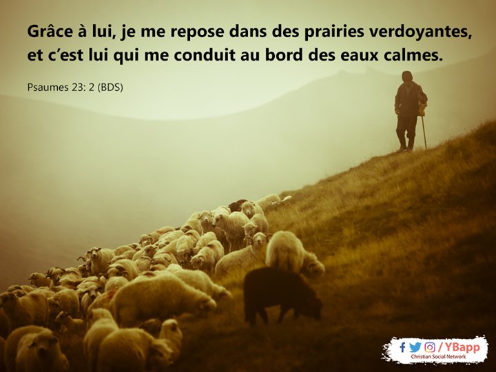 YBapp's tweet photo. Grâce à lui, je me repose dans des prairies verdoyantes,
et c’est lui qui me conduit au bord des eaux calmes.
Psaumes 23: 2 (BDS)
#YBapp
#Yalla_Bina https://t.co/Qhvc2i0Pg5 https://t.co/iZB6rm5aAE