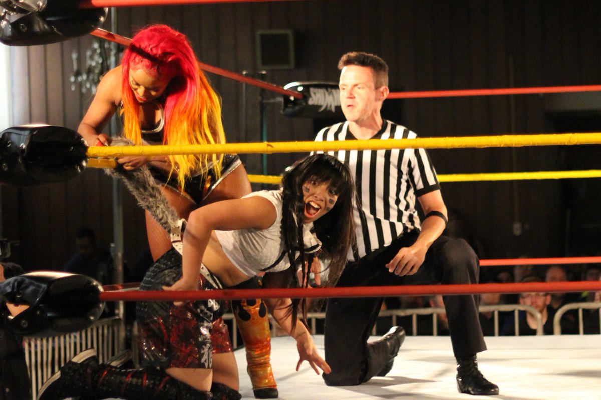 DAFALCON11's tweet photo. @HoganKnowsBest3 v @wolfinjapan impact leads to tail-grabbing -- Hey! Wait a minute . . . !! #SHIMMER103 https://t.co/s6gCd2tj5H