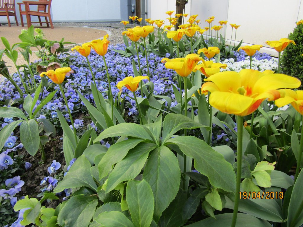 MSE_Sustainability tweet media