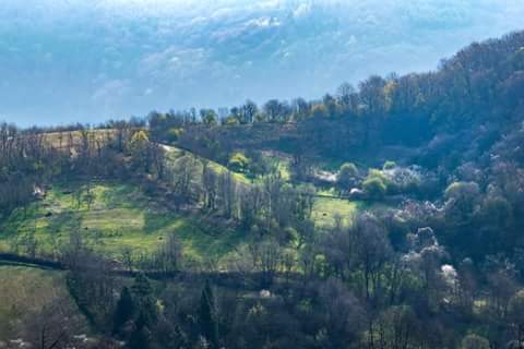 amalacupava's tweet photo. 💚💚💚 #Fruškać #AlmaMons by Darko Ihas https://t.co/eoP8l8nDBN