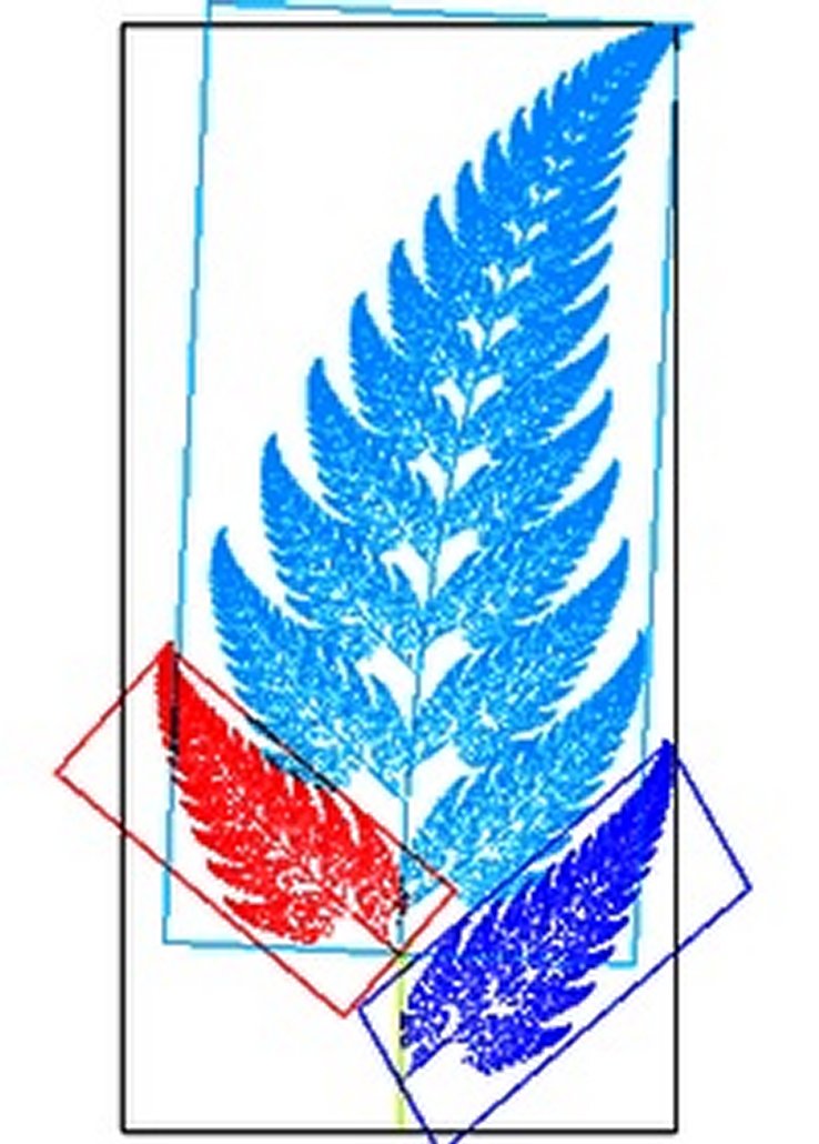 GoingPostalBlog's tweet photo. The Barnsley Fern, by OldTrout - https://t.co/FhcRxY9coq 
#BarnsleyFern, #MichaelBarnsley #MondayMaths #AffineTransformations #Mathematics https://t.co/kdecWZclDg
