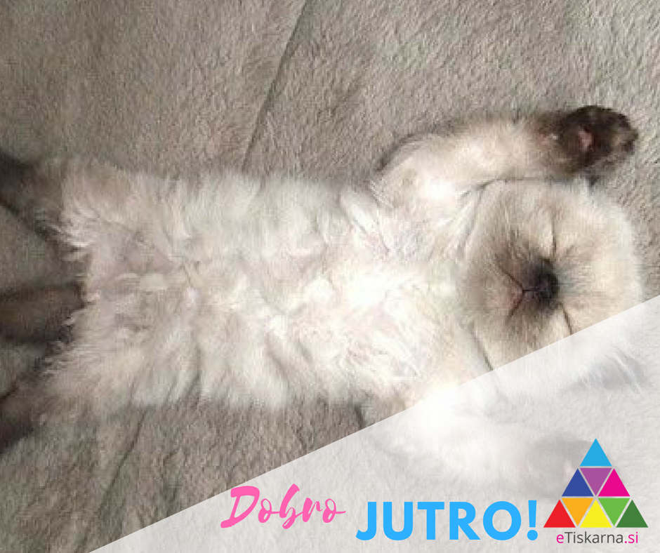 Dobro jutro na ta lep (poletni) ponedeljek! ☺😃😃😃
Verjamemo, da bo uspešen. ❤️ 🧡 💛 💚 💙 💜 🖤
ekipa eTiskarna.si  🍭