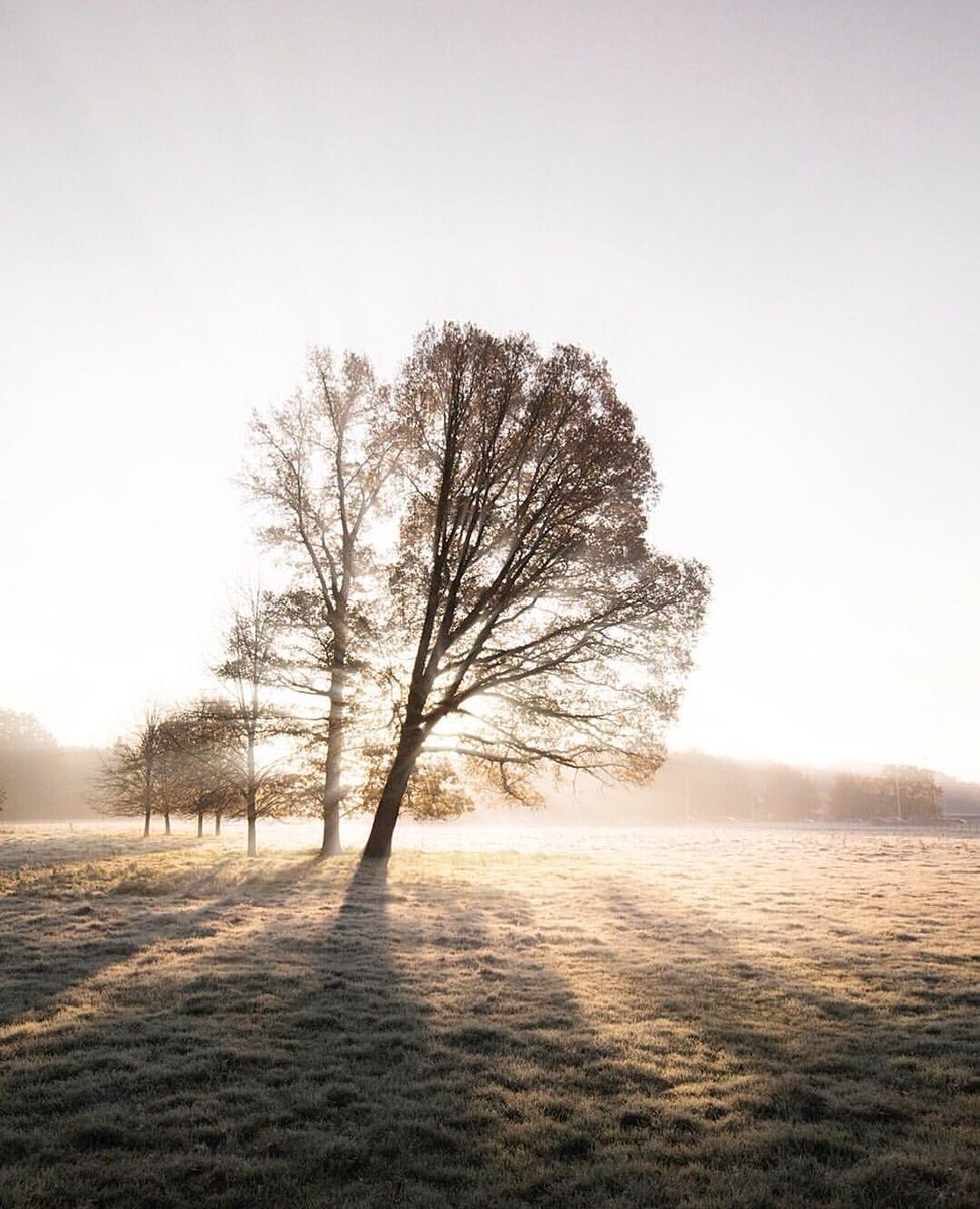 Miahmoow's tweet photo. It's Monday again. Get over it.
#folkgood #folkvibes #naturepic #mondays #picoftheday #photograph #relaxed #keepcalm #photographer #amazingview #exploringtheworld #timeto #breathing #EarthDay #tree_capture #discoverearth #nature_brilliance #EarthFocus #folkscenery https://t.co/VreZzcosBX