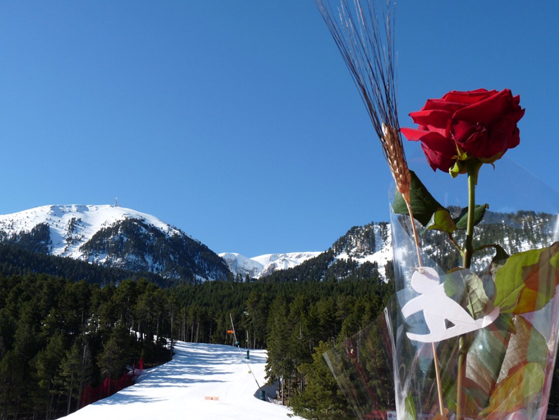 Bona diada de Sant Jordi!! Avui forfait gratuit per tothom!!!
