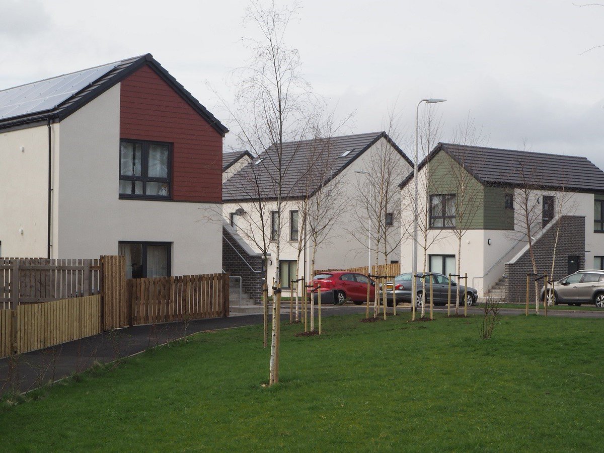 Smith Scott Mullan tweet media