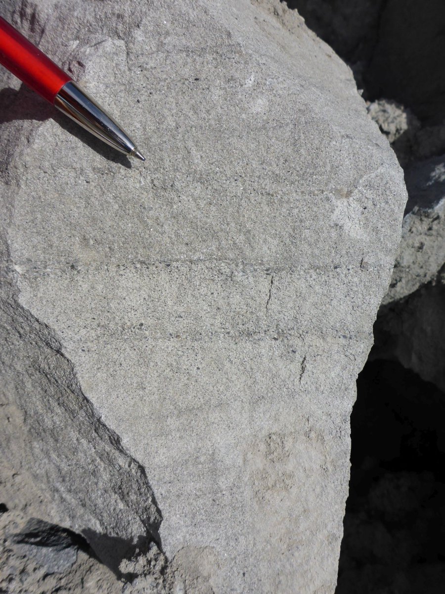 TsunamiSand's tweet photo. The best way to spend #EarthDay is with students introducing them to the  principles of sedimentology and structural geology. #ImAGeoscientist #SwissJuraMountains #UniBasel #SpringFeelsLikeSummer https://t.co/3R3oxVkm9N