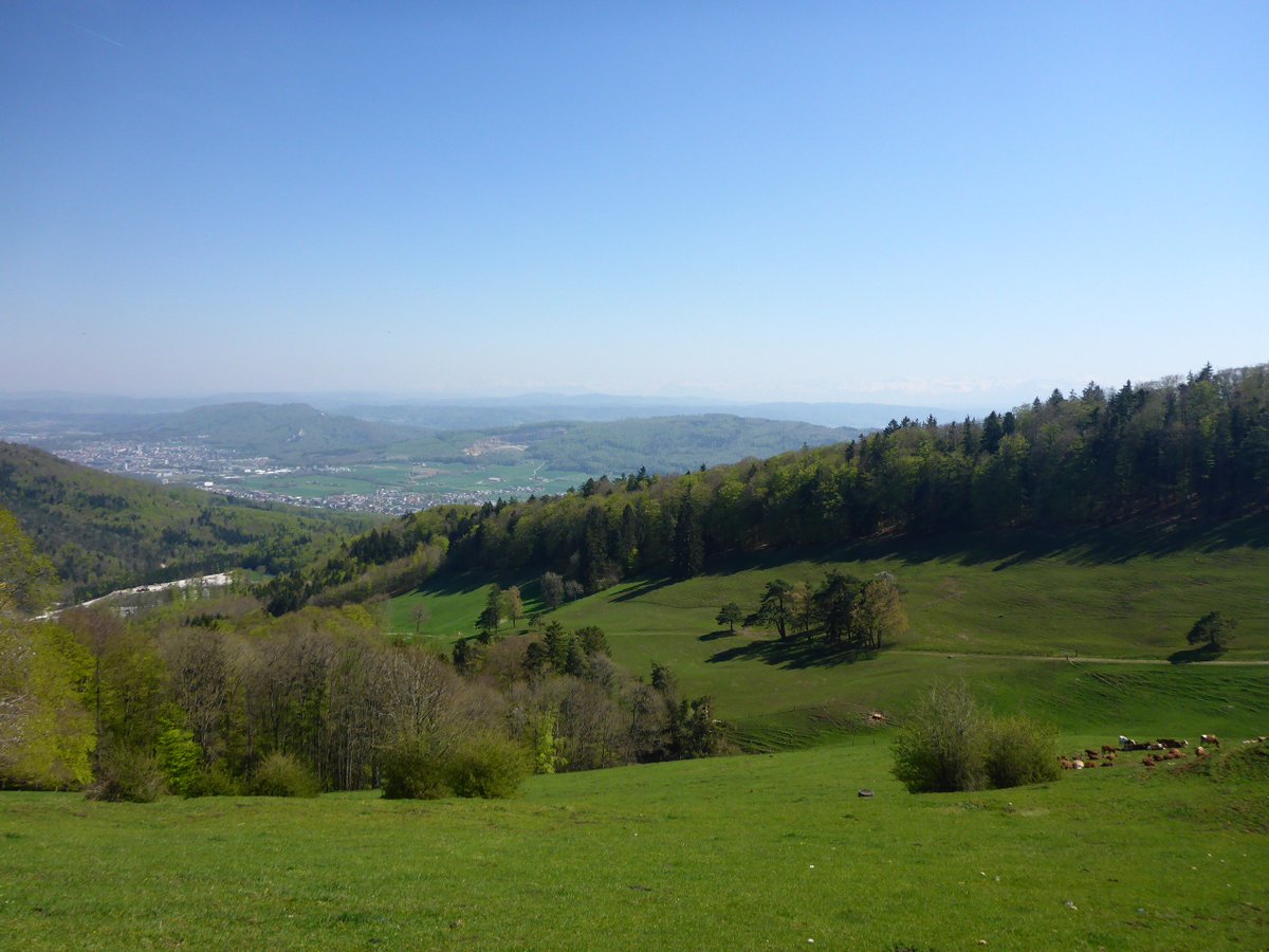 TsunamiSand's tweet photo. The best way to spend #EarthDay is with students introducing them to the  principles of sedimentology and structural geology. #ImAGeoscientist #SwissJuraMountains #UniBasel #SpringFeelsLikeSummer https://t.co/3R3oxVkm9N