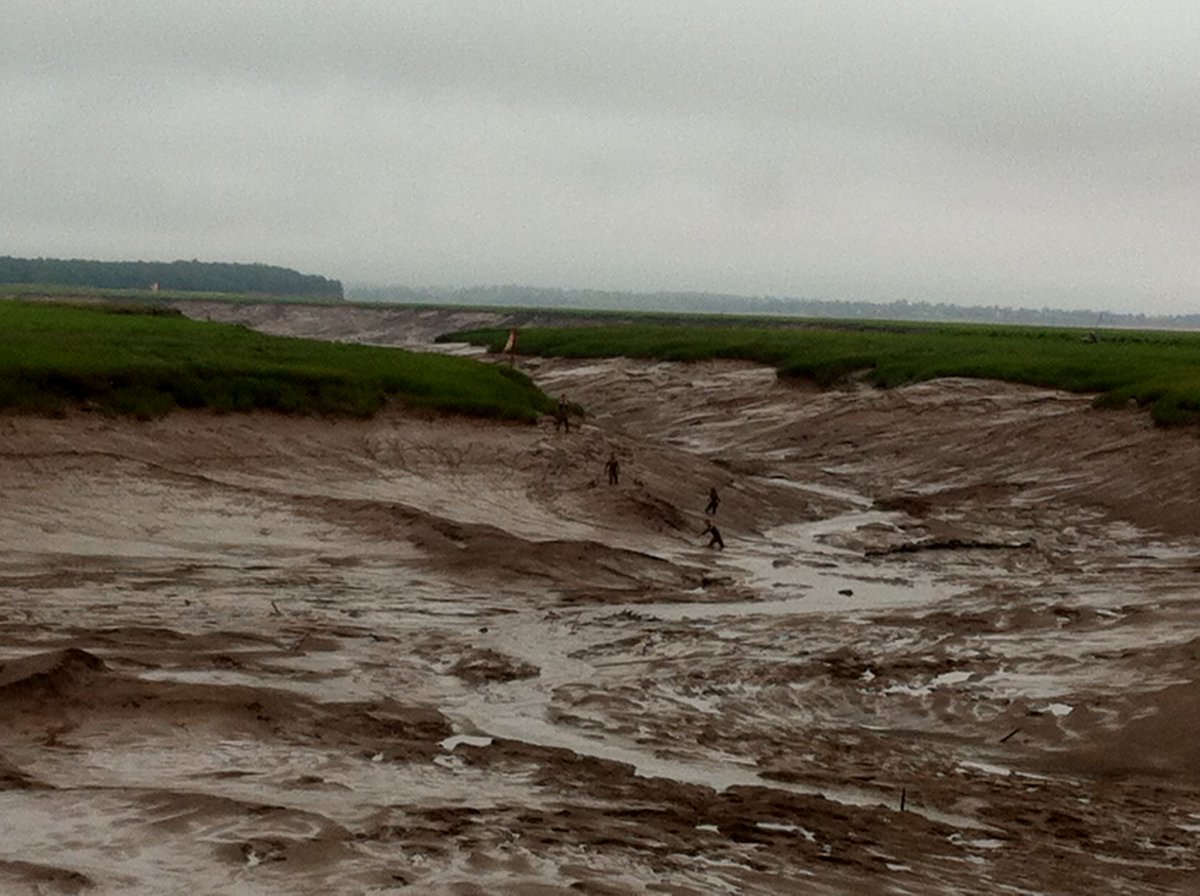 Two views of  @TownOfWolfville Harbour (south of Location 6): 1. mud crawling students at low tide; 2. a crowd gathering to see the highest high tide in 18 yrs (Sept 29, 2015) at the wharf from which pic 1 was taken. This is the muddiest part of the basin.  #MinasBasinTidal 2/n