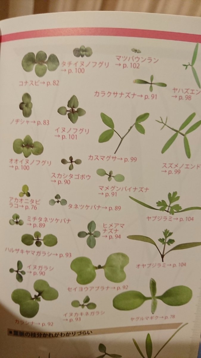 Prism 普通の植物図鑑では花が咲いた時期の姿だけが掲載されていますが この 身近な雑草の芽生えハンドブック は芽生えからの変化が詳しく掲載されています 雑草は放置せず小さいうちに抜くことが多いのでこの本はとても役立ちます 著者の浅井元朗 Prism 普通の植物図鑑では花が咲いた時期の姿だけが掲載されていますが この 身近な雑草の芽生えハンドブック は芽生えからの変化が詳しく掲載されています 雑草は放置せず小さいうちに抜くことが多いのでこの本はとても役立ちます 著者の浅井元朗