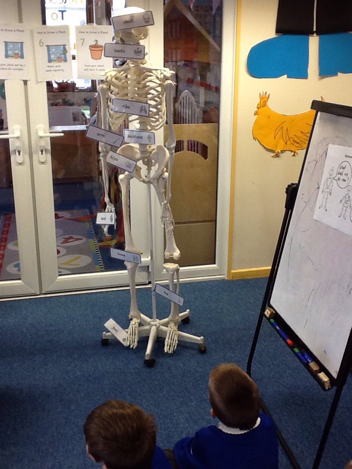 Dem bones dem bones dem, dry bones!