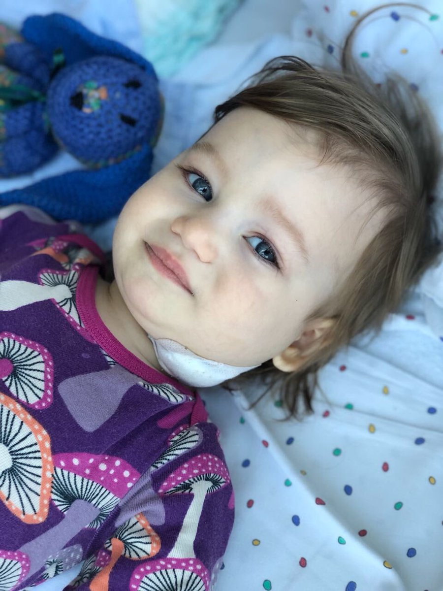 - DRINGEND GESUCHT! -

➡️ Wohnung/Haus in Darmstadt
➡️ ab sofort!
➡️ Max. 500/600€ Miete

Die 1-jährige Tochter meiner Cousine ist an Krebs erkrankt und macht jetzt eine Chemotherapie. Bitte helft der Familie! Mehr Infos in meinem IG Highlight „Noemi“

Bitte teilen! ❤️🔄