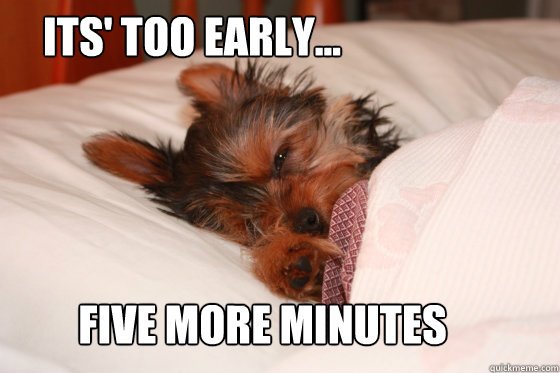 MetroVetChicago's tweet photo. That Monday morning feeling... https://t.co/lmtKCu1CGU