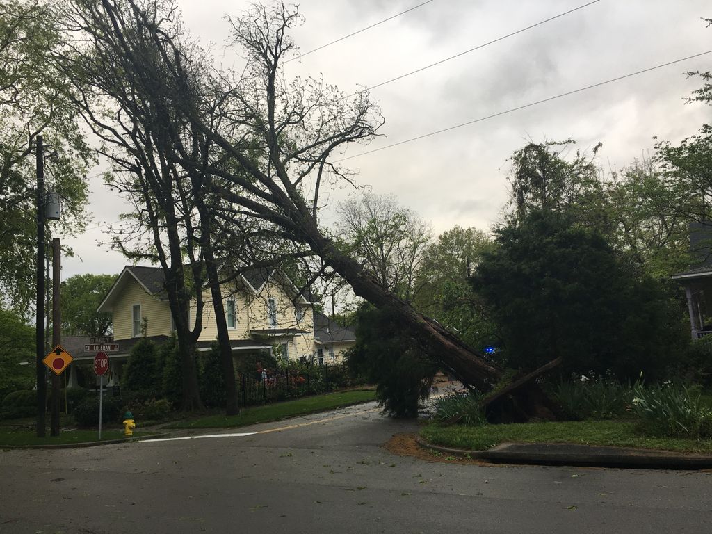 48Traffic's tweet photo. TRAFFIC ALERT: Tree down on Coleman Street &amp; Randolph Avenue in Huntsville >> https://t.co/JT1PnRd7Fy https://t.co/40TYe0APJ9