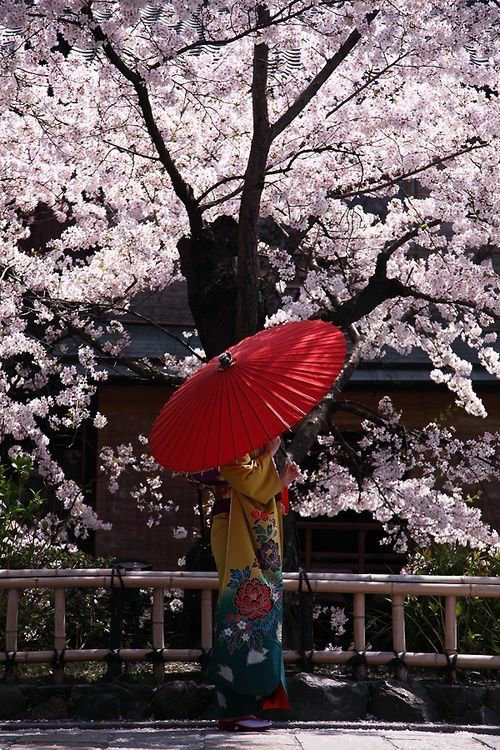 Japan_Vibes's tweet photo. https://t.co/9gesRPHiJh