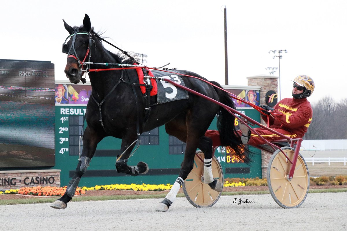 hoosiernations's tweet photo. GoodMorning @MacomberJr @triplemracing @Chris_wponies @JoannKi32885615 @rebelsart @vnssa926 @jtlburn @kimberlymoier @dolenski_john @KathleenBaitzel @Teamgreenqueen @HoP_Racing #LovelySwan #RickyMacomber #PlayHP https://t.co/sOIkc7wdcg