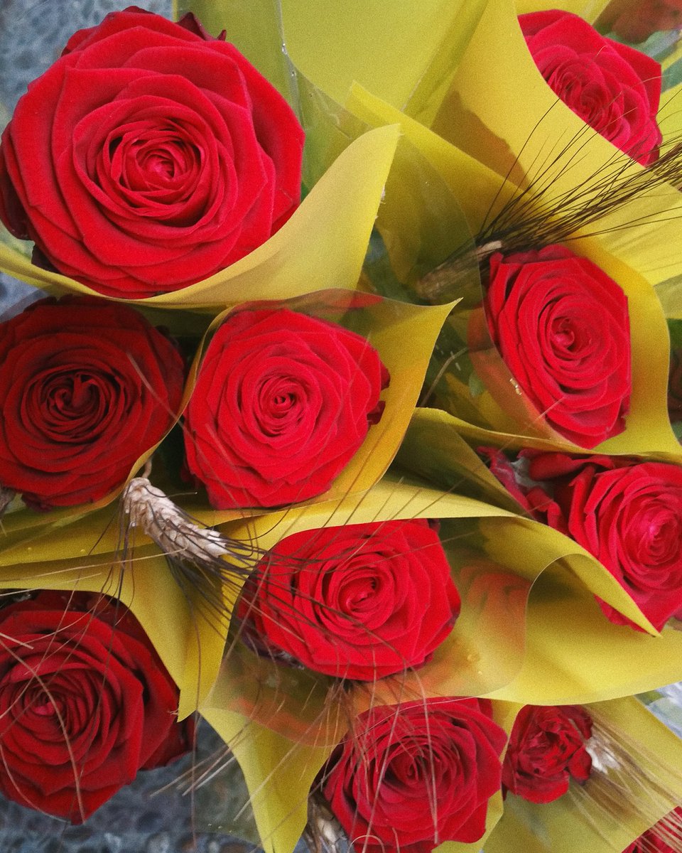Cris_amorosC's tweet photo. 🌹 F E L I Ç    S A N T   J O R D I 🌹 https://t.co/iQRcgbNoTj