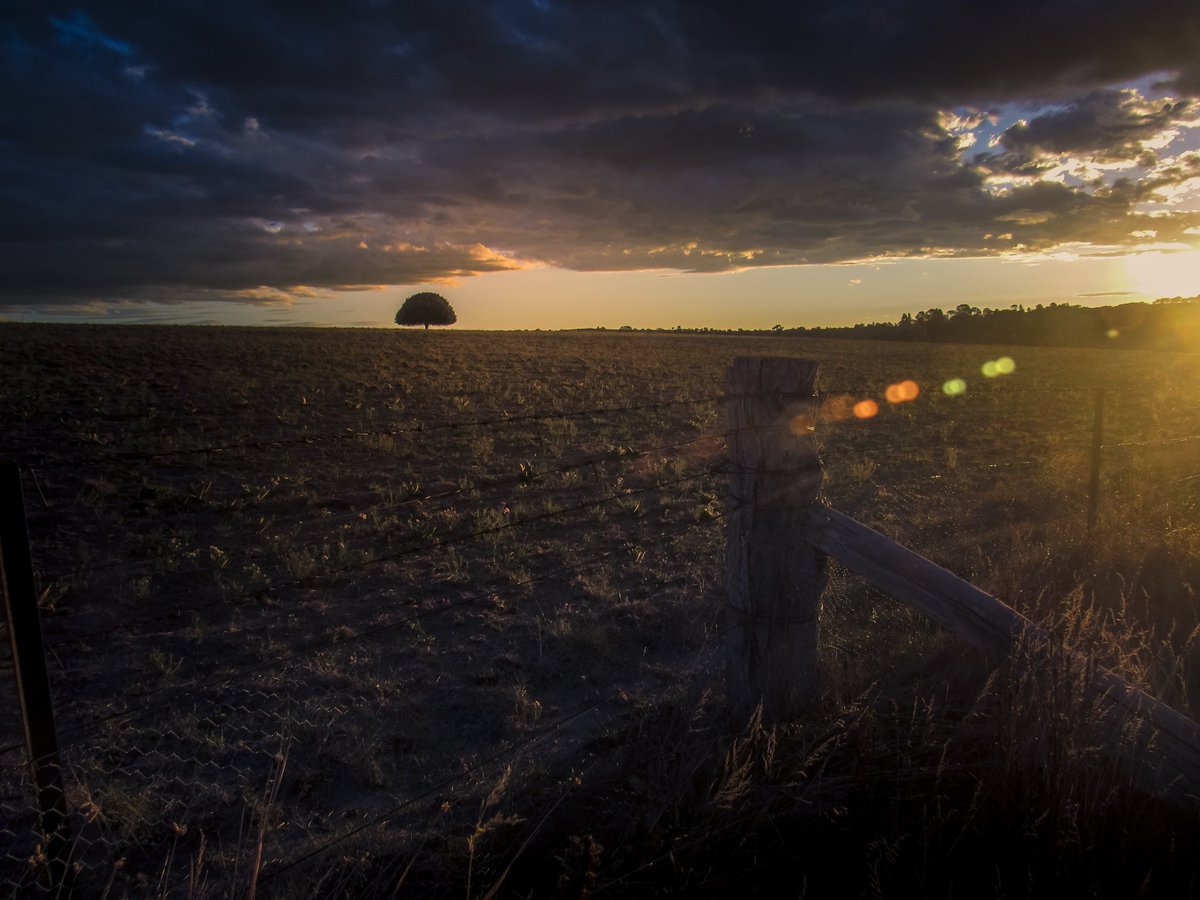 SleepyBell01's tweet photo. The solitude between sunset and the storm. A moment taken in a busy lifestyle #rural_nursing #nursing_research https://t.co/pXSr4659Cn