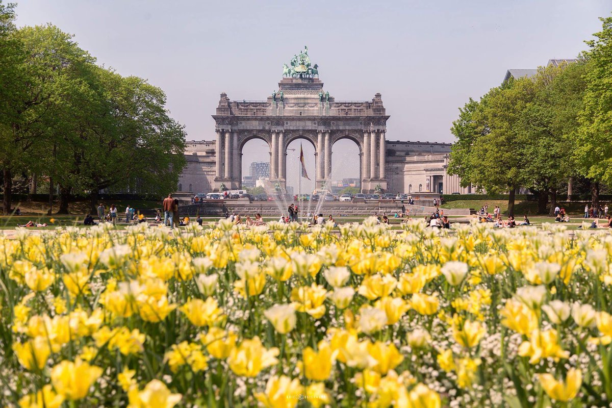 Cinquantenaire