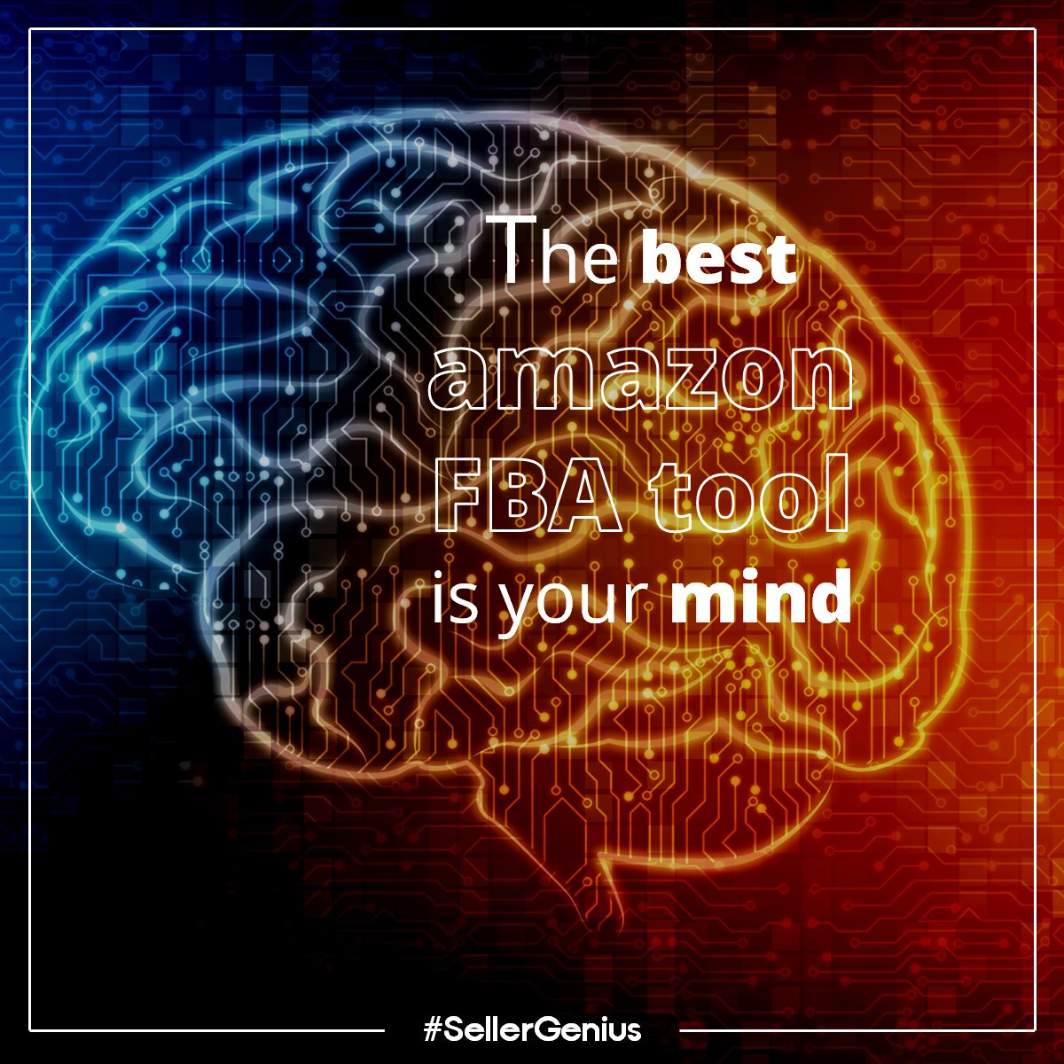 SellerGenius's tweet photo. βΒ #QUIZ: This #FBA #tool is #FREE, not listed on #google and has #InfinitePotential
π In my #asm9 #bonus #coaching (8 spots left) we will cut all the mental anchors that keep you away from the financial port of your dreams!
#asm2018 #asmnow #amazingsellingmachine #amazonseller https://t.co/dz4zOjI6tp
