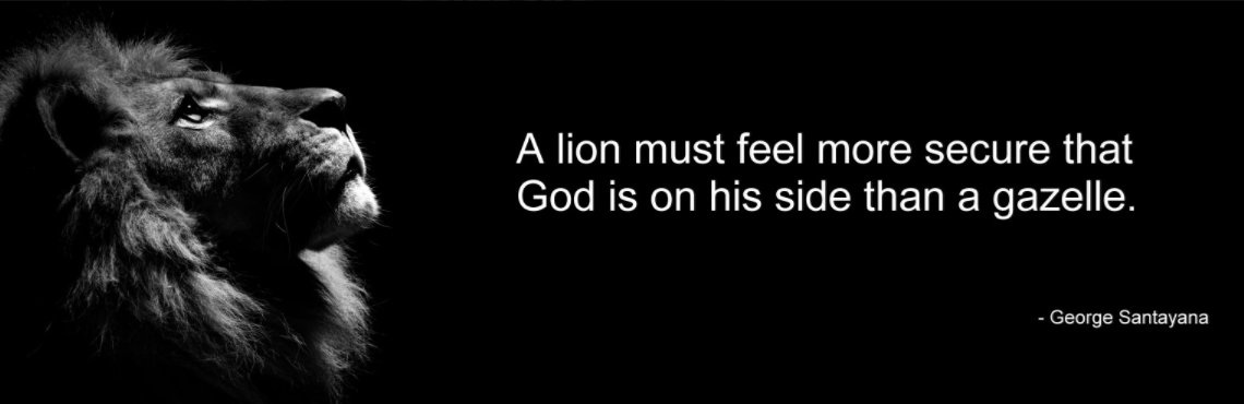 SigmarFrota's tweet photo. Lion´s perspective and his #MondayMotivaton https://t.co/pq6zE9Ih8p