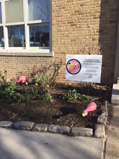 WinthropMPS's tweet photo. It looks like spring has finally sprung. The Winthrop got flocked! Welcome back students and teachers and thank you to the MEF for all your support for our schools! @MelroseEd https://t.co/hCYWqdWfXs