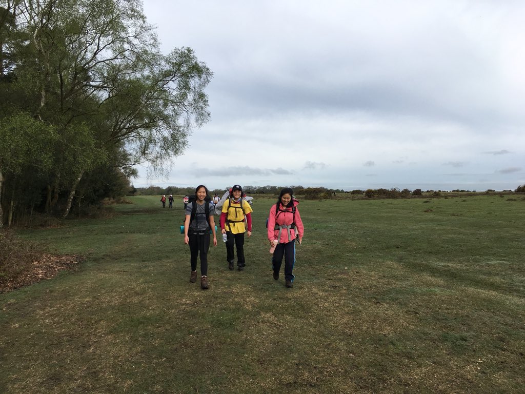 Outspark Ltd tweet media