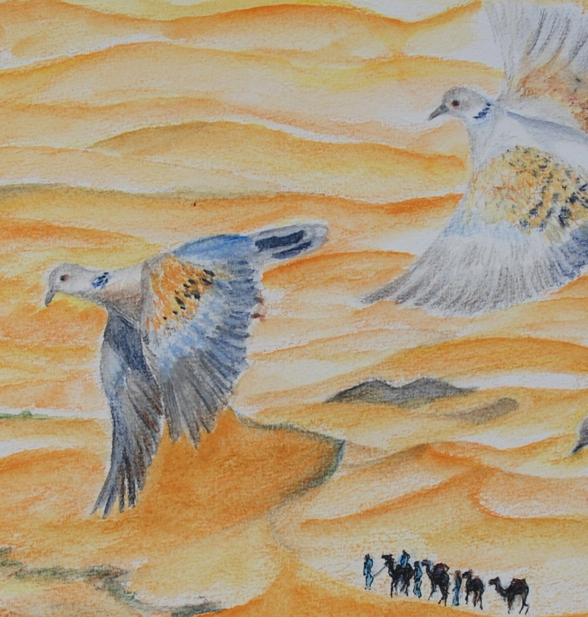 CorrinTulk's tweet photo. 'When turtle doves fly' #Book #launch and original #artwork #Birdscapes Gallery Glandford near #Holt NR25 7JP on 28 April from noon #exhibition til 19 May profits to #operationturtledove @ChrisGPackham @northnorfolknow @VisitBroadland @icenimagazine
@Pensthorpe @NWTCleyCentre https://t.co/gcYn2pB0kc
