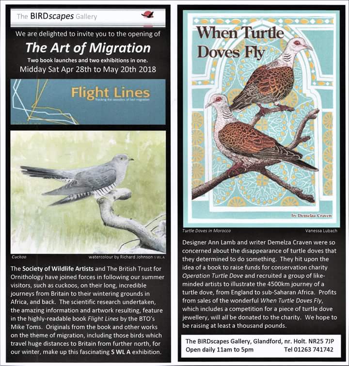 CorrinTulk's tweet photo. 'When turtle doves fly' #Book #launch and original #artwork #Birdscapes Gallery Glandford near #Holt NR25 7JP on 28 April from noon #exhibition til 19 May profits to #operationturtledove @ChrisGPackham @northnorfolknow @VisitBroadland @icenimagazine
@Pensthorpe @NWTCleyCentre https://t.co/gcYn2pB0kc