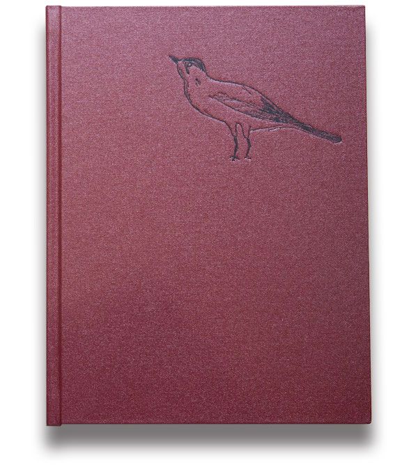 IndiePhotobooks's tweet photo. Big Brother by Louis Quail. Co-published by Dewi Lewis. https://t.co/zcDLs10UD6 https://t.co/xTfvwqQ1LE