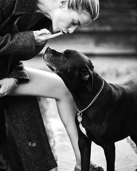RossellaRo_'s tweet photo. La vera comprensione avviene quando torni a te, umano, curioso, sorpreso, amato, amando come "animale"
Rossella Rò
© 22420181650
#ScegliUnSorriso
#TuComeMe
#AmaComeSei https://t.co/hg4Dy226Lr