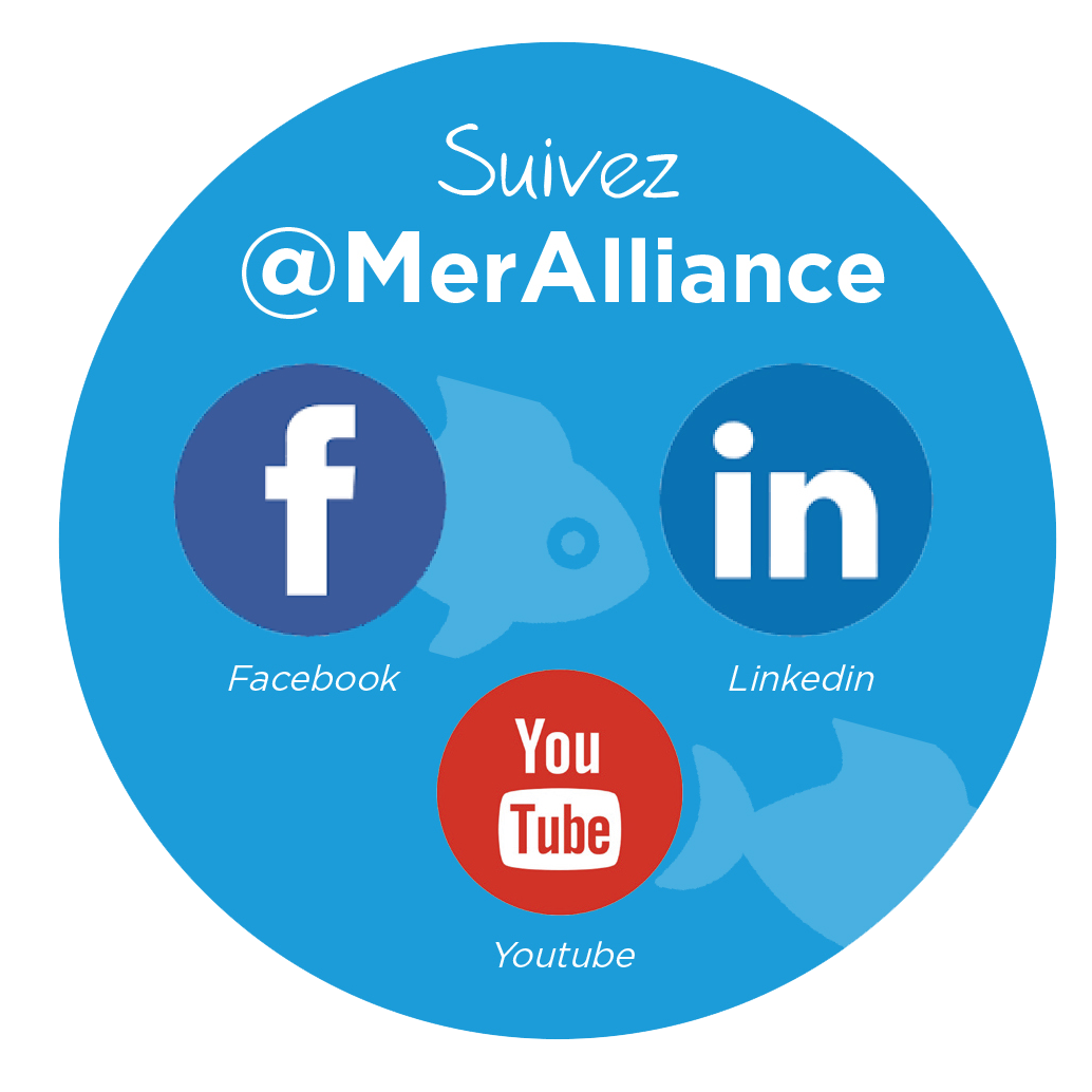 Geryoutubeur's tweet photo. Good job testé&approuvé dans l'#agroalimentaire breton qui recrute (250 postes à pourvoir ici chez #MerAlliance @thaiuniongroup) 🔝 CC @CCI_Quimper @produitenbzh #ABEA @MEDEFBretagne @UIMMBretagne @ClusterBSC @regionbretagne @RegionsJob https://t.co/XZmi2kR3Fu