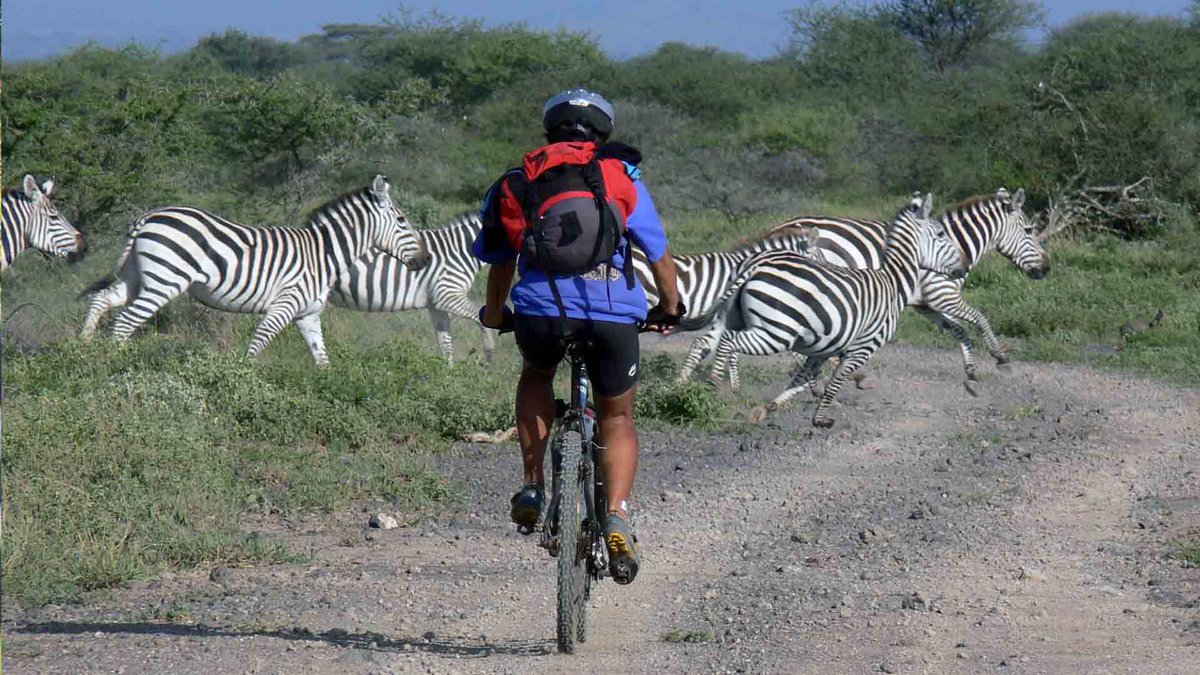 Our #CycleTour around #KilimanjaroTour takes you through #Tanzanias green forests to dry bushland.  bit.ly/2HoutCi