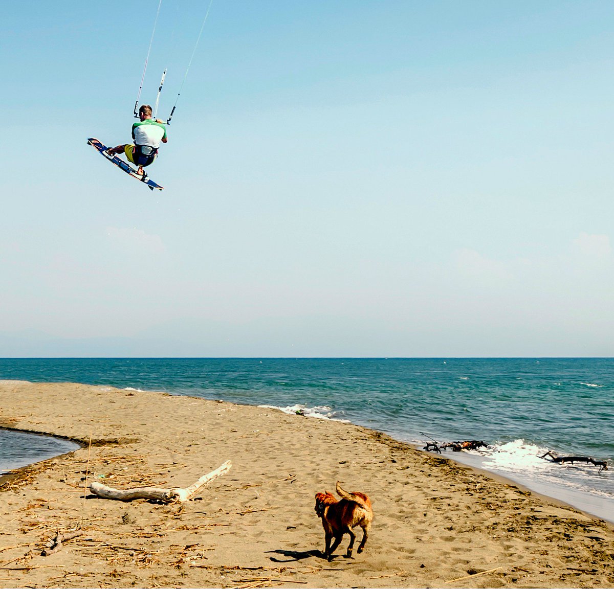 Sport, relax and dogs? Yes, its possible at #SoulBeachHouseFuerteventura 
More info 👉 ow.ly/D3Me30jwZdQ 
#SolBeachHouseFuerteventura #DogsFriendly #Fuerteventura #Travel