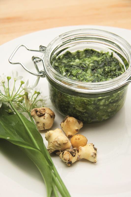 gillmillsworld's tweet photo. Shout out to the wild garlic pesto I just had a late breakfast of. Yeah! #wildgarlic #onitsown #nofilter 😂 https://t.co/iePlzaKaD8