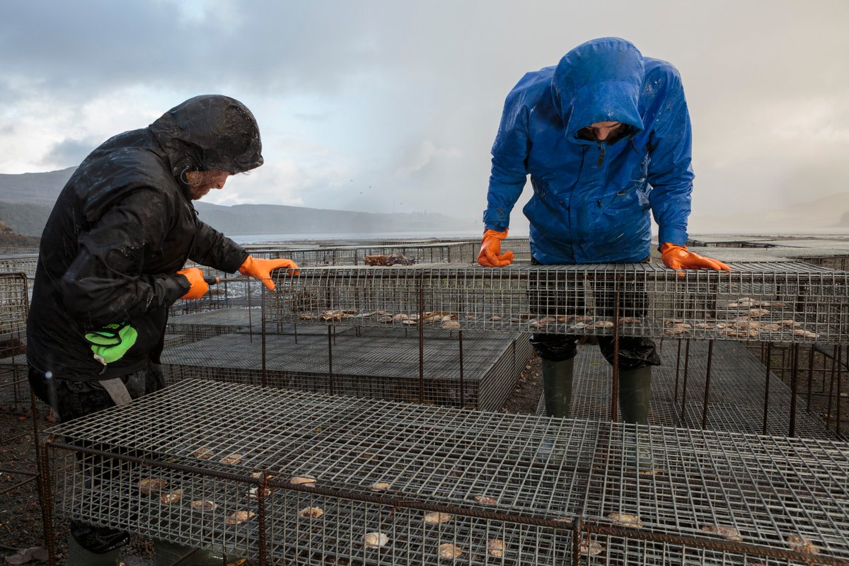 Help us (and all those we worked with) win Best Ethical Food Project for CLIMAVORE: On Tidal Zones in the @theguardian #FoodMonthlyAwards!! 
Click on the link to vote - those who vote can win prizes too!! bit.ly/2K86qcL👏👏👏
