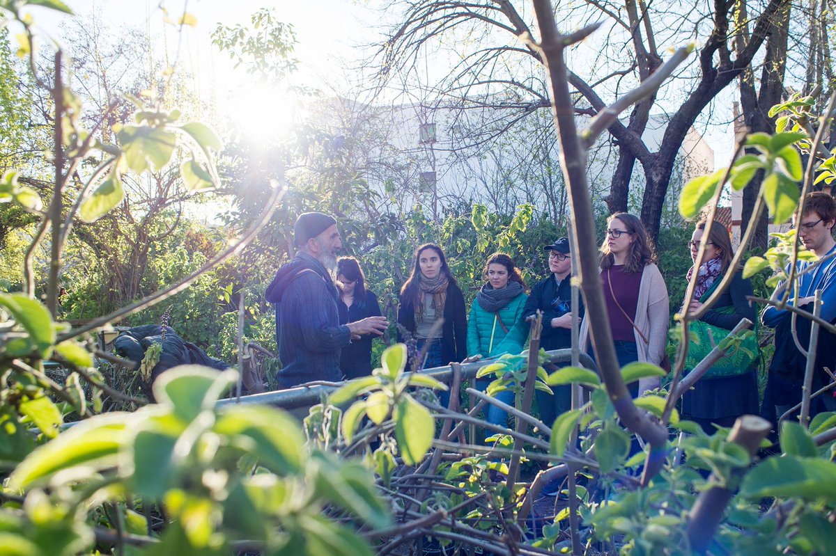 CIEESeville's tweet photo. The Interest Group of the Liberal Arts Program: Urban Ecology, led by professor Marina Blesa, visited Luciano at the Huerto del Rey Moro, a communal garden which he envisioned, together with a group of neighbors, in 2004. #StudyAbroad #Sustainability #Ecosystems #Seville #CIEE https://t.co/5ojIXAiZuf