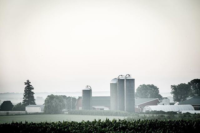 jennsilverberg's tweet photo. Foggy morning farm. *
*
*
*
*
#agriculture #farm #agriculturephotographer #farmphotographer #onlocation #photographer @oberweisdairy #viewsfromthemiddle #dairyfarm #holsteinslivethere https://t.co/3XT0v6zNJR https://t.co/agKbWAGW12