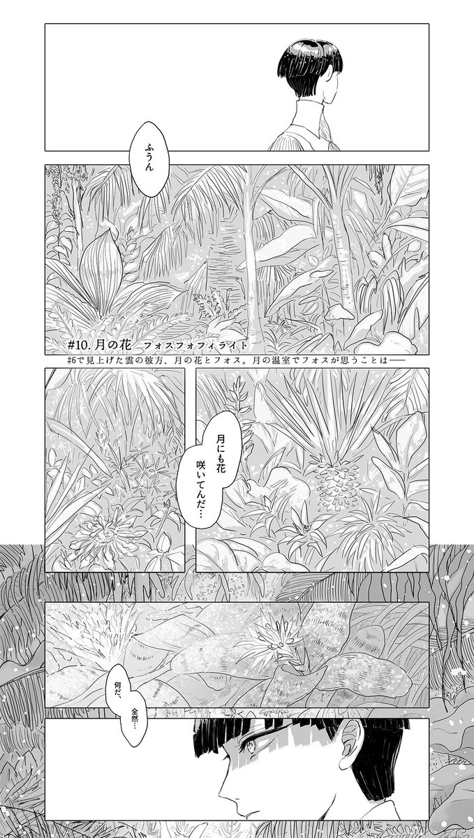 #10.月の花 フォスフォフィライト - 3P
#11.思うあなたはひとり シンシャ - 5P
#12.愛は花、君はその種子 オールキャラ - 17P 