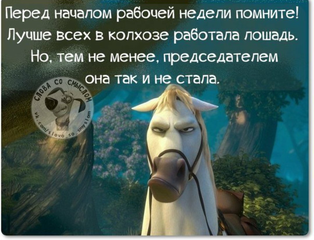 Картинки, веселые картинки про начало рабочей недели