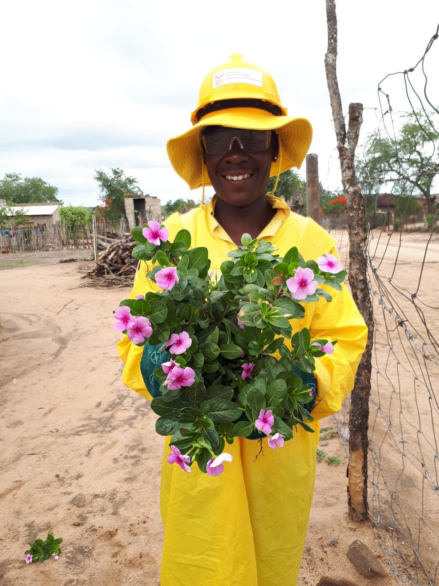 SandTrust's tweet photo. Motivational Monday!
Since the start of our Natural Resource Management Program with the Department of Environmental Affairs in May 2017, we have employed just over 280 local people from our surrounding communities! Now that's a motivational fact for a moody Monday! #SocialChange https://t.co/2bLkxvAva2