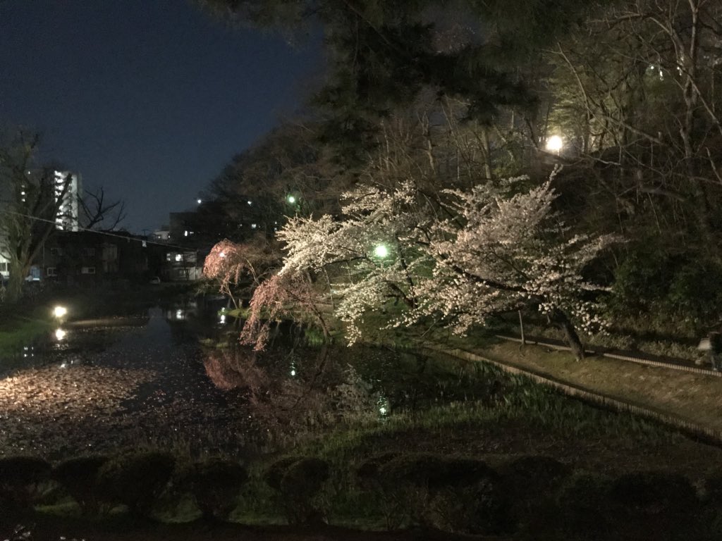 Chelone1's tweet photo. 21、22、23と秋田に行ってきました〜
地元は桜散って撮れなかったから満足(*´꒳`*) https://t.co/D1NZbfwMOb