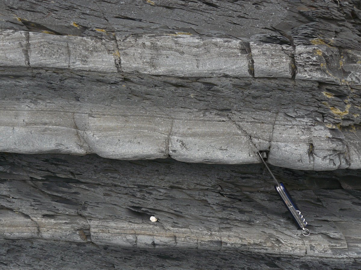 Sed_Meg's tweet image. Enjoying looking through the photos of our #fieldwork looking for sand-mud #bedforms in the Aberystwyth Grits! #geologyrocks