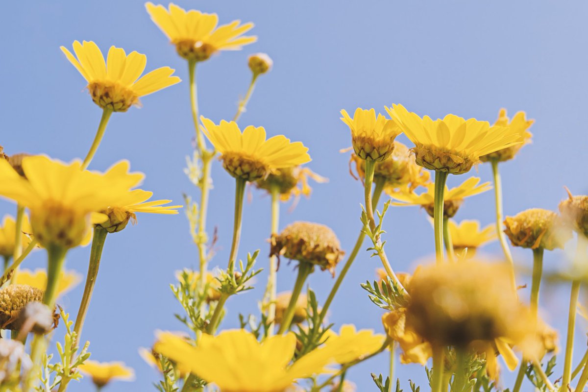 Ce matin on vous livrait nos astuces anti-allergies dans ‘service compris’ sur <a href="/totem_radio/">TOTEM - A votre tempo !</a>. Si vous avez raté l’émission, le replay est en ligne !