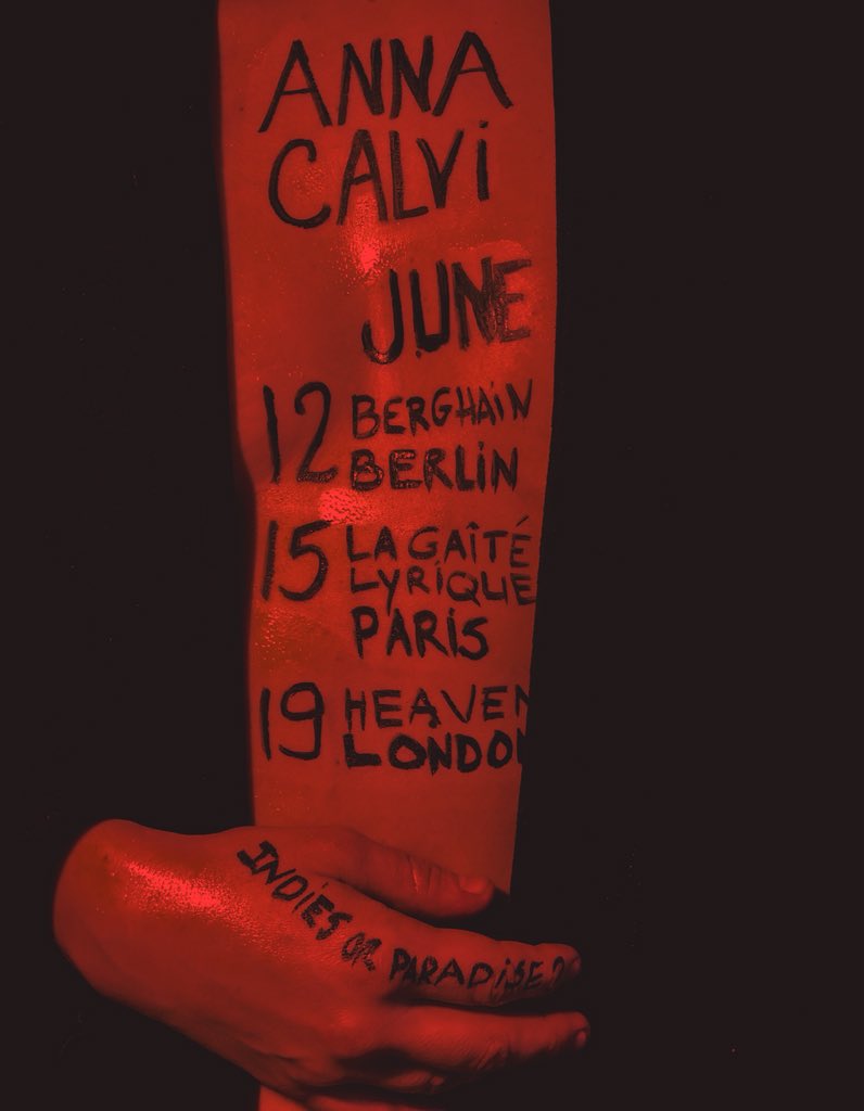 I remember looking into your eyes, I remember our energy, I remember you testing me, I remember me testing you, I remember feeling the most alive in those moments, I remember the dam breaking, like a primal scream. I want it again, I want to see you again..
