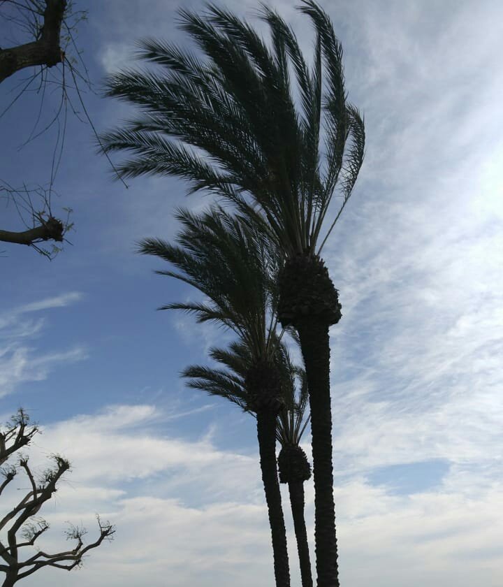 pertassedvixen's tweet photo. #signalhill
#LosAngeles
#Calihomes https://t.co/xTv54iSd2G