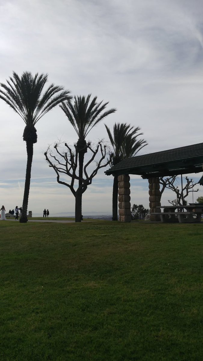 pertassedvixen's tweet photo. #signalhill
#LosAngeles
#Calihomes https://t.co/xTv54iSd2G