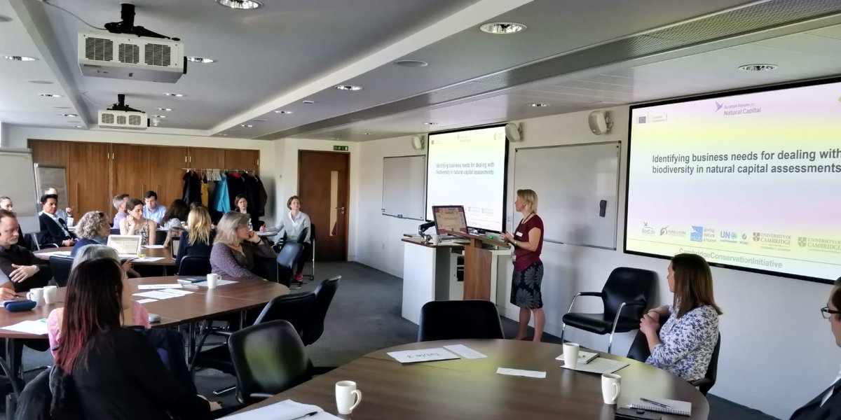 ScotNatCap's tweet photo. Over 20 businesses and organisations fed into the development of the #Biodiversity Supplement of the #NaturalCapitalProtocol today in #Edinburgh. Look forward to seeing the final product @CCI_Cambridge and @NatCapCoalition. https://t.co/GVDHFUcIoK