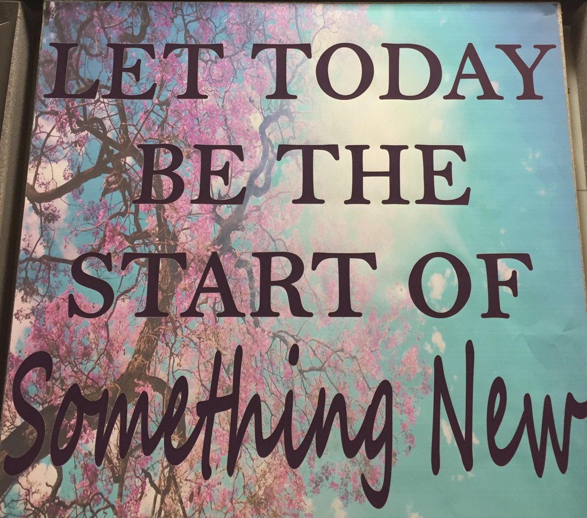 DonnaZook's tweet photo. Good morning, Friends! Who is ready for a fresh day and a new week? What do you aspire to today? Make today the day you take that first or next step to create a change you want to make. #lovemondays #freshcanvas https://t.co/QrYXI9JN7T